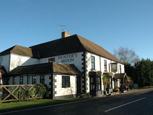 Hotel Hunters Moon Buckland Newton Exterior foto